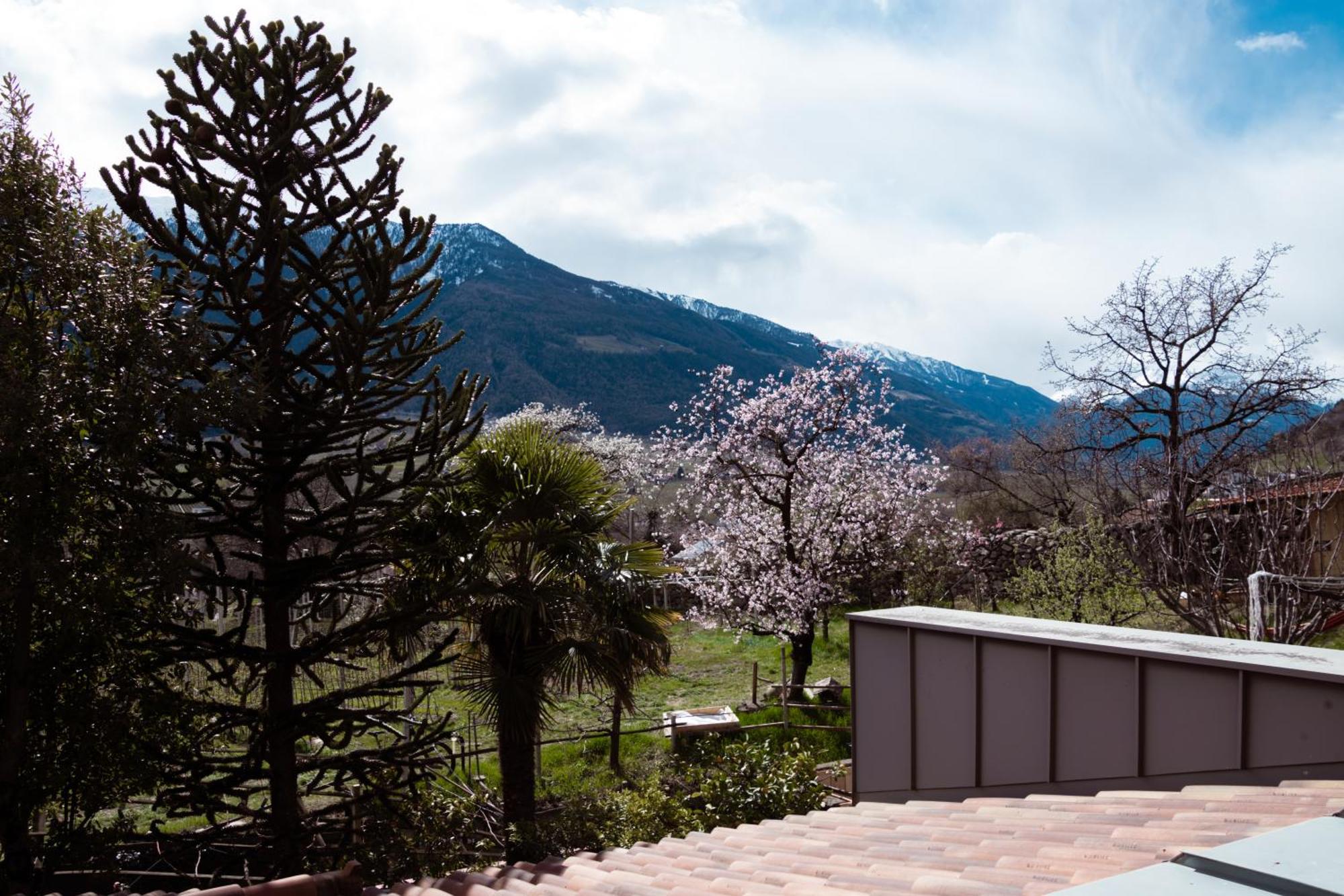 Garni Unterwegguetl Bed & Breakfast Naturns Exterior photo