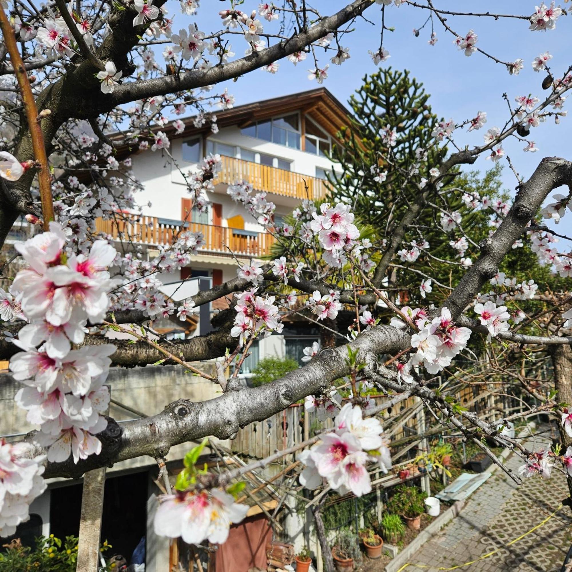 Garni Unterwegguetl Bed & Breakfast Naturns Exterior photo